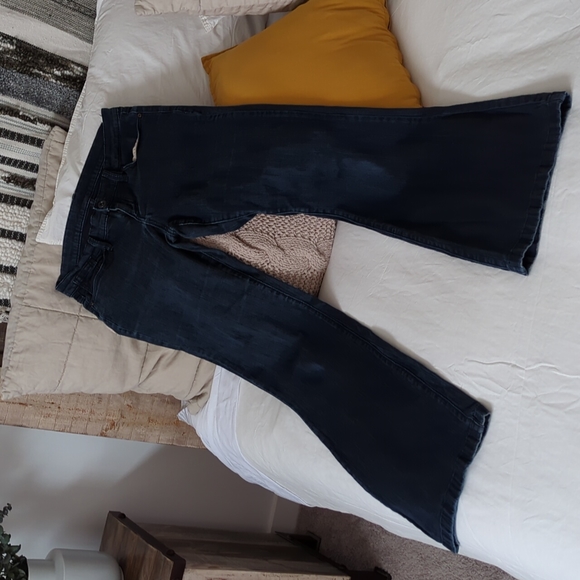FINAL SALE 🌿BCBG MAXAZRIA WIDE LEG JEANS🌿 - Picture 3 of 8